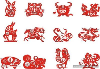 梦见花预示什么？5种梦境详细解读