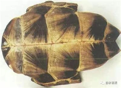 塔罗牌倒吊人牌义详解：正位与逆位全面解读