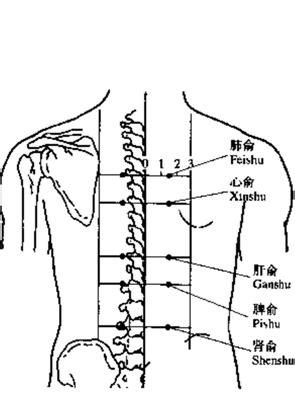 面相额头的20种类型及其命理含义
